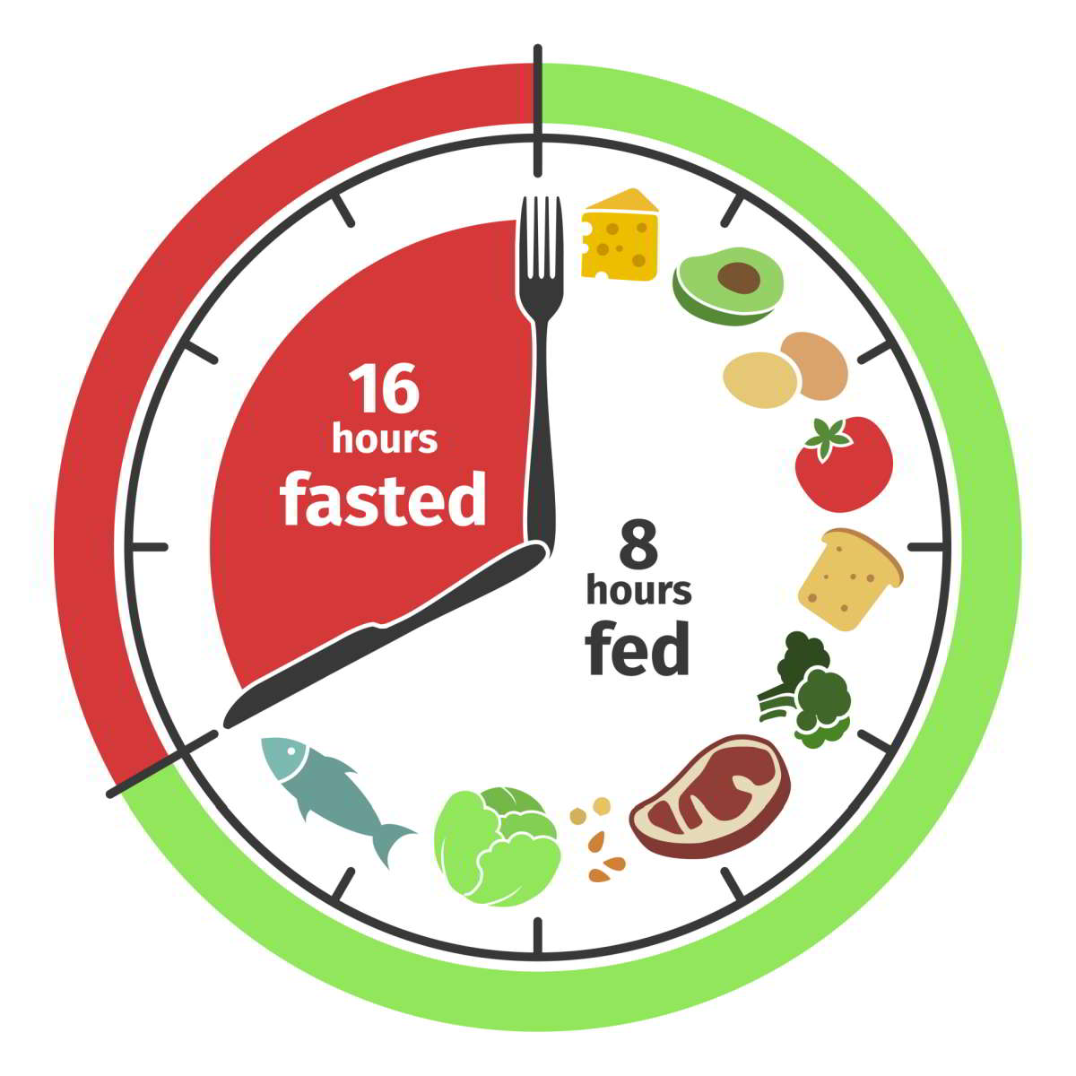 Intermittent Fasting Basics: Beginner’s Guide