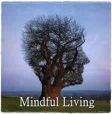 The Ultimate Guide to Mindful Living: Tips for Beginners