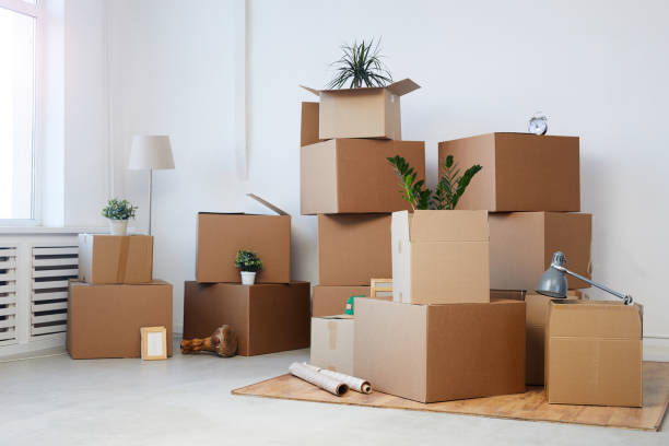 The Psychology of Decluttering